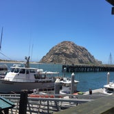 Review photo of Morro Bay State Park Campground by Anthony O., August 1, 2020