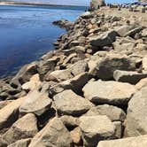 Review photo of Morro Bay State Park Campground by Anthony O., August 1, 2020