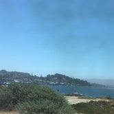 Review photo of Morro Bay State Park Campground by Anthony O., August 1, 2020