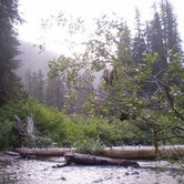 Review photo of Kachess Campground by Dene H., August 1, 2020