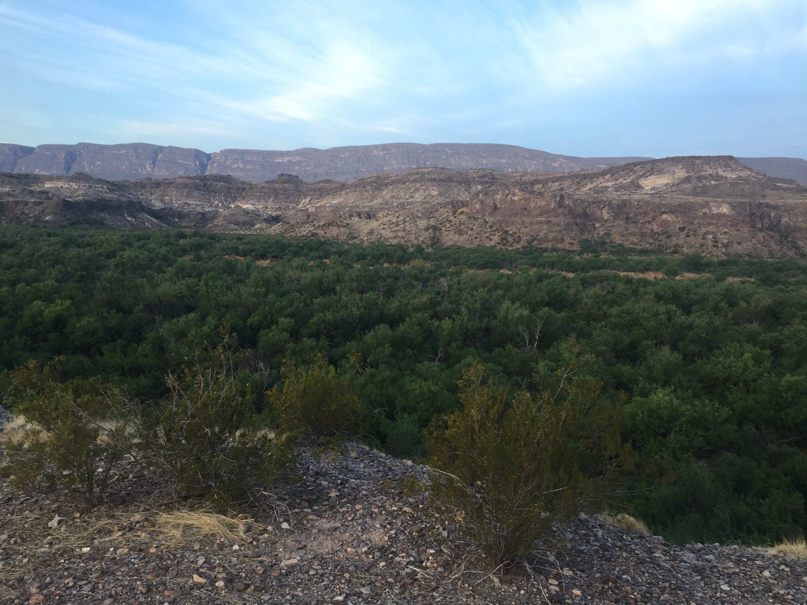 Camper submitted image from Buenos Aires — Big Bend National Park - 2