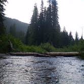 Review photo of Kachess Campground by Dene H., August 1, 2020