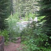 Review photo of Kachess Campground by Dene H., August 1, 2020