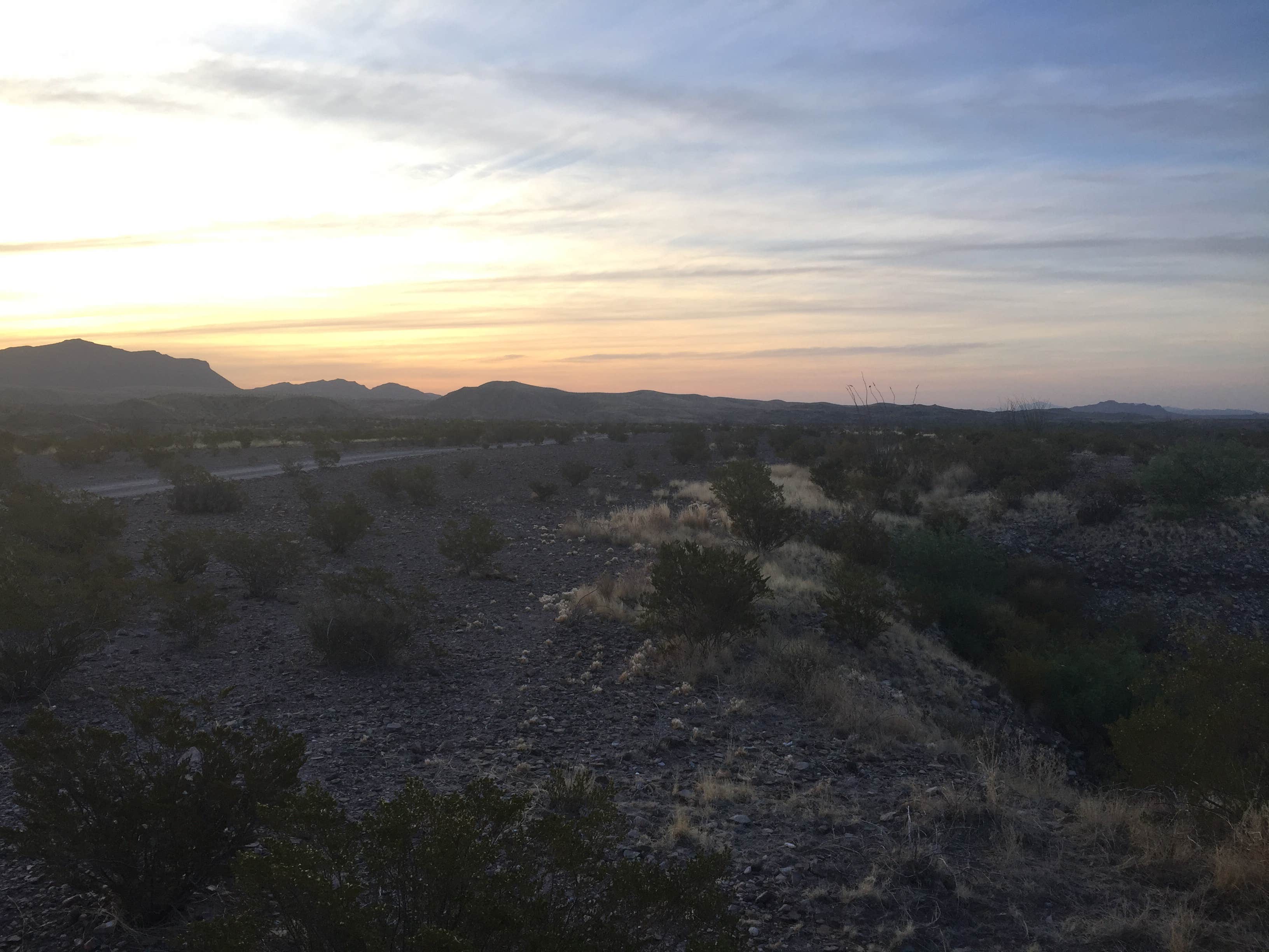 Camper-submitted photo at Buenos Aires — Big Bend National Park near Terlingua, TX