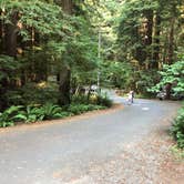 Review photo of Hidden Springs Campground — Humboldt Redwoods State Park by Erin S., August 1, 2020