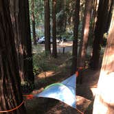 Review photo of Hidden Springs Campground — Humboldt Redwoods State Park by Erin S., August 1, 2020