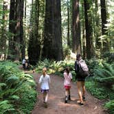 Review photo of Hidden Springs Campground — Humboldt Redwoods State Park by Erin S., August 1, 2020