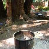 Review photo of Hidden Springs Campground — Humboldt Redwoods State Park by Erin S., August 1, 2020