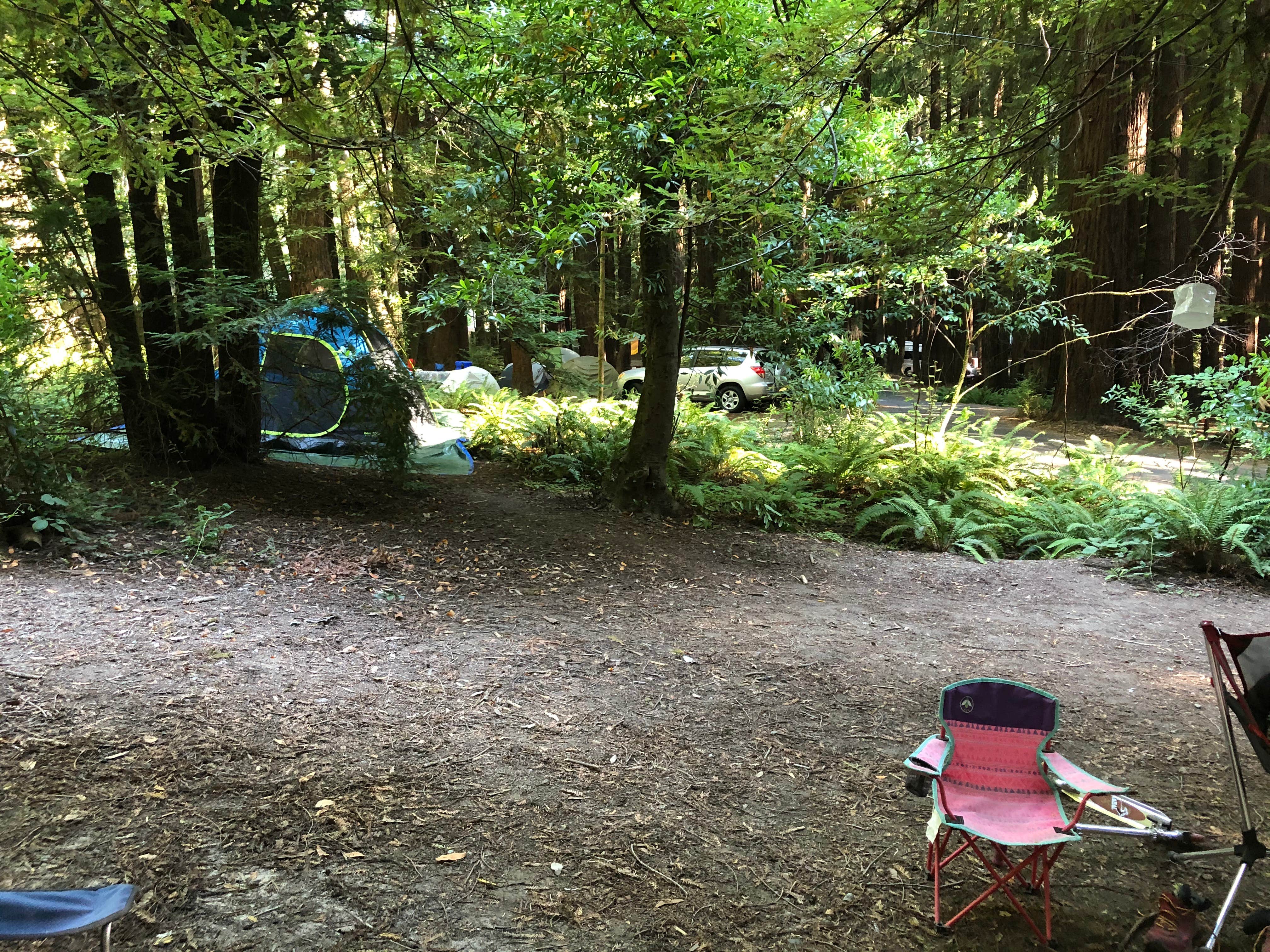 Erin S.'s photo at Hidden Springs Campground — Humboldt Redwoods State Park near Weott, CA