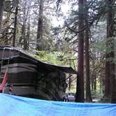 Review photo of Gold Basin Campground by Dene H., August 1, 2020