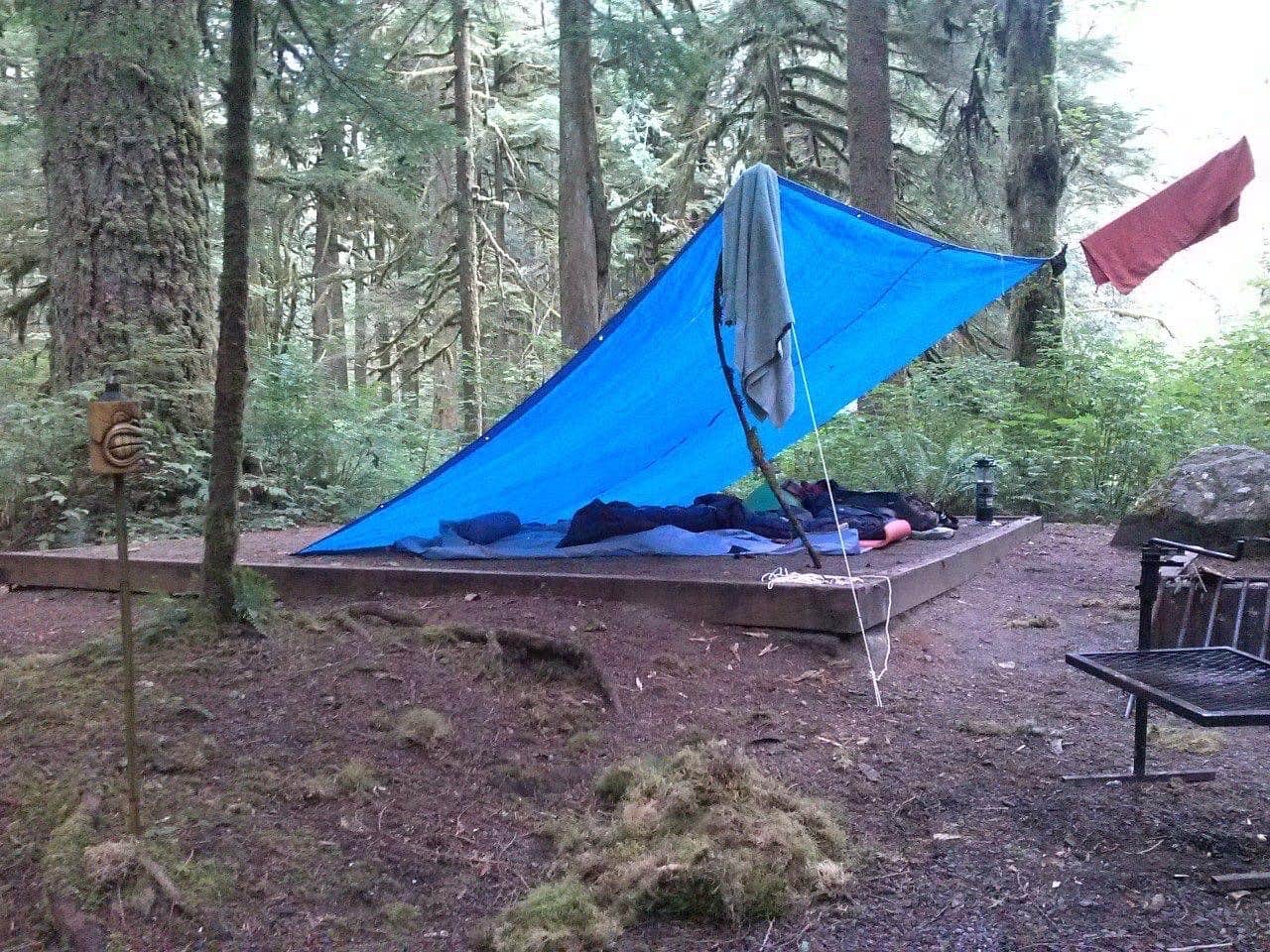 Dene H.'s photo at Gold Basin Campground near Marysville, WA