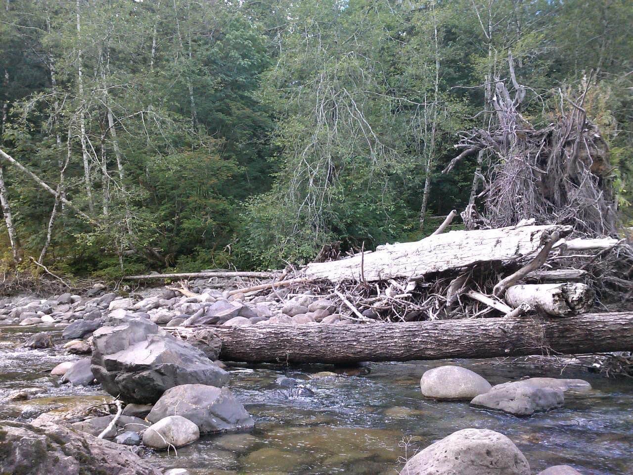 Camper-submitted photo at Gold Basin Campground near Sultan, WA