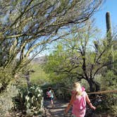 Review photo of Colossal Cave Mountain Park by Emma K., April 12, 2018