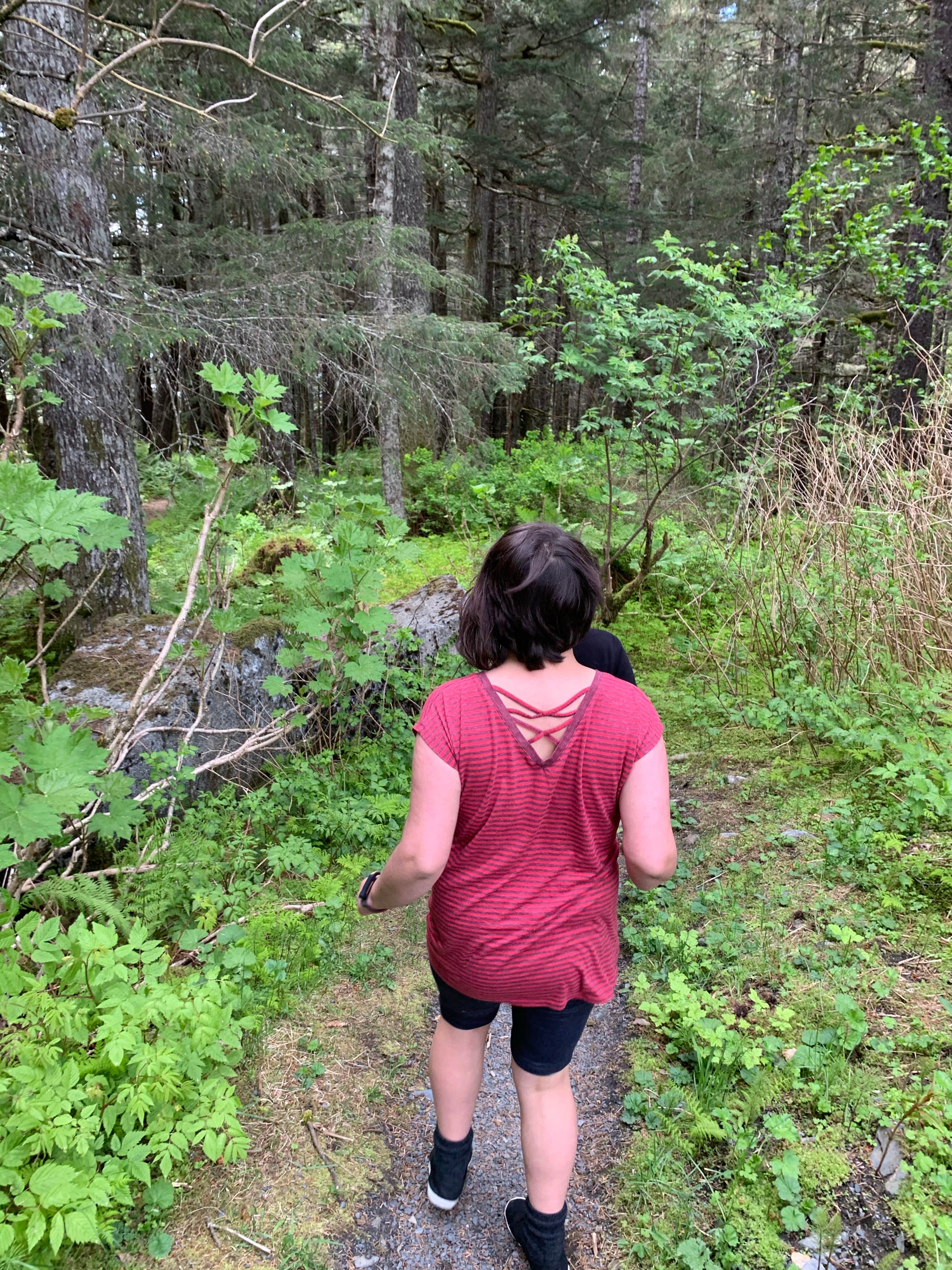 Chugach National Forest photo 4