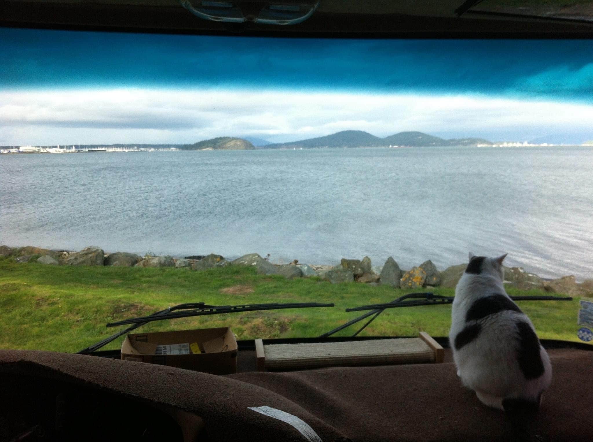 My cat Romeo takes in the view from our dashboard looking directly at Fidalgo Bay.