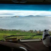 Review photo of Fidalgo Bay Resort by Dene H., August 1, 2020