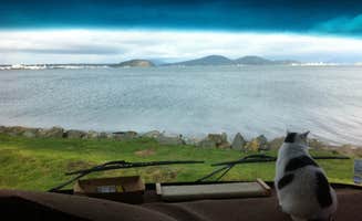 Dene H.'s photo of camping with pets at Fidalgo Bay Resort near Anacortes, WA