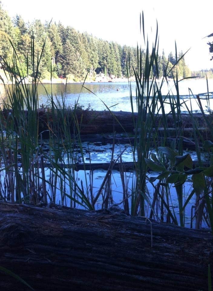 Camper-submitted photo at Flowing Lake Park & Campground near Marysville, WA