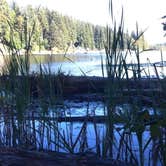 Review photo of Flowing Lake Park & Campground by Dene H., August 1, 2020