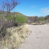 Review photo of Colossal Cave Mountain Park by Emma K., April 12, 2018