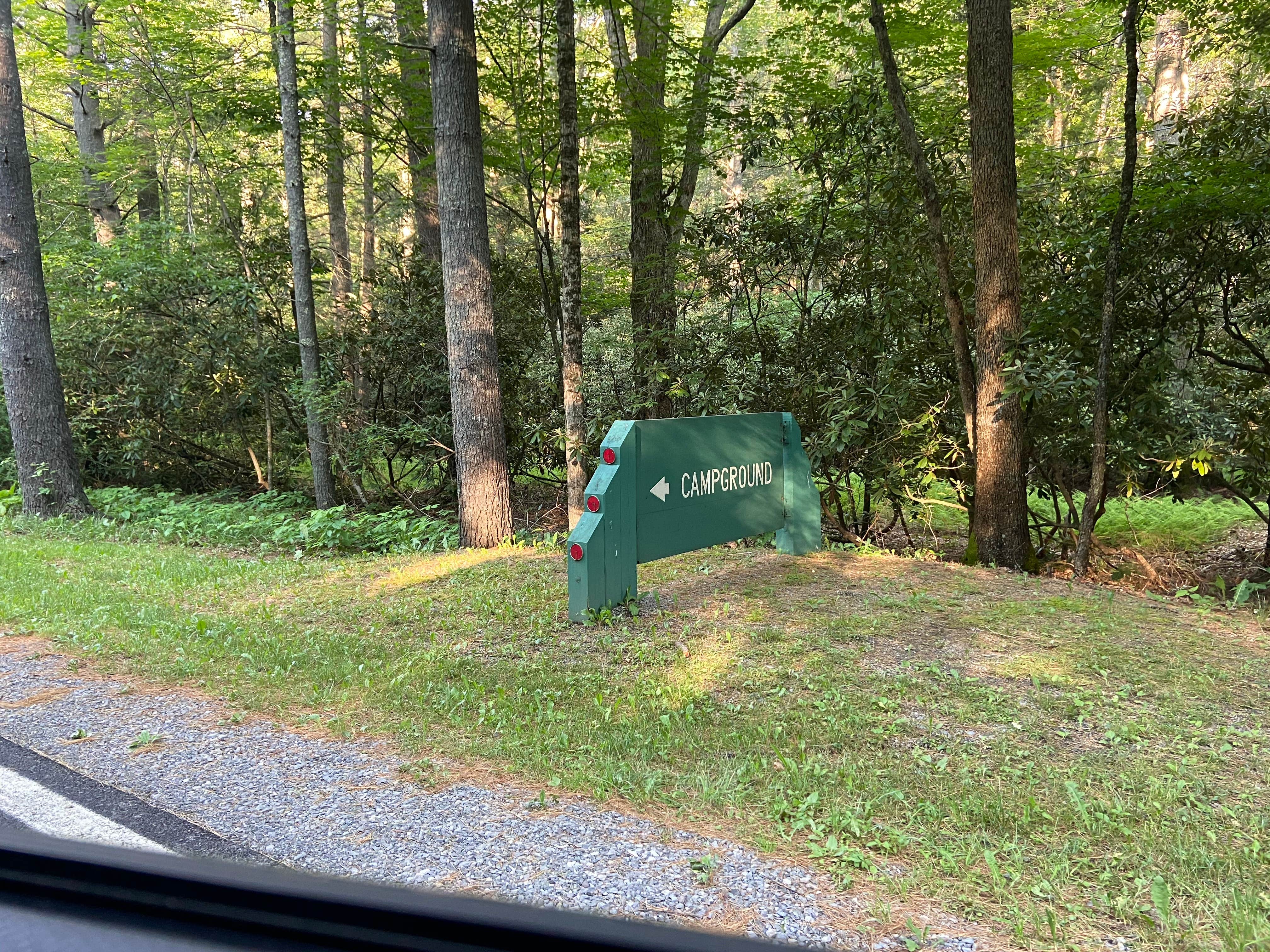 Dave V.'s photo at Seven Mile Campground near Snowshoe, WV