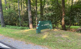 Dave V.'s photo at Seven Mile Campground near Warm Springs, VA