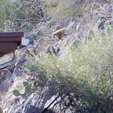 Review photo of Colossal Cave Mountain Park by Emma K., April 12, 2018