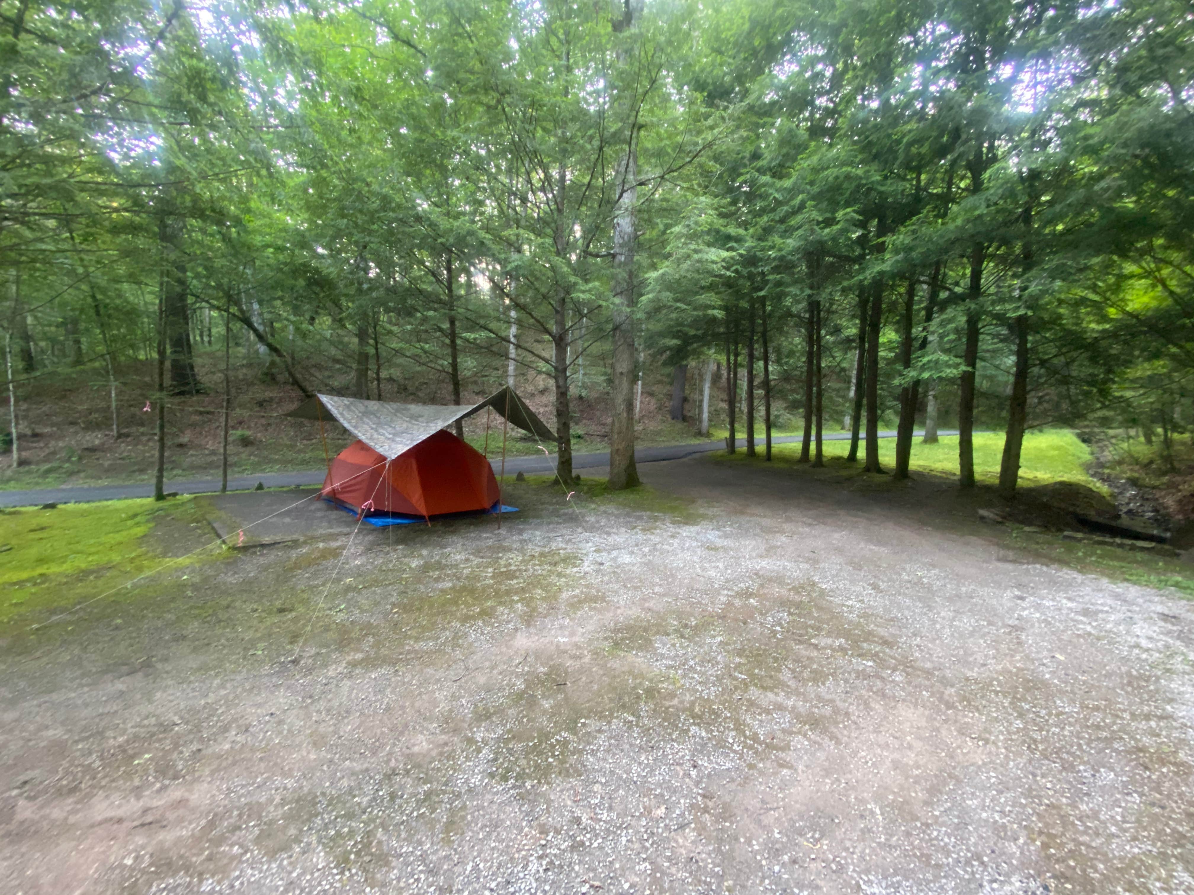 Dave V.'s photo of tent camping at Seven Mile Campground near Seneca Rocks, WV