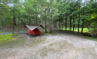Dave V.'s photo of tent camping at Seven Mile Campground near Cass, WV