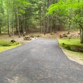 Review photo of Seven Mile Campground by Dave V., August 1, 2020