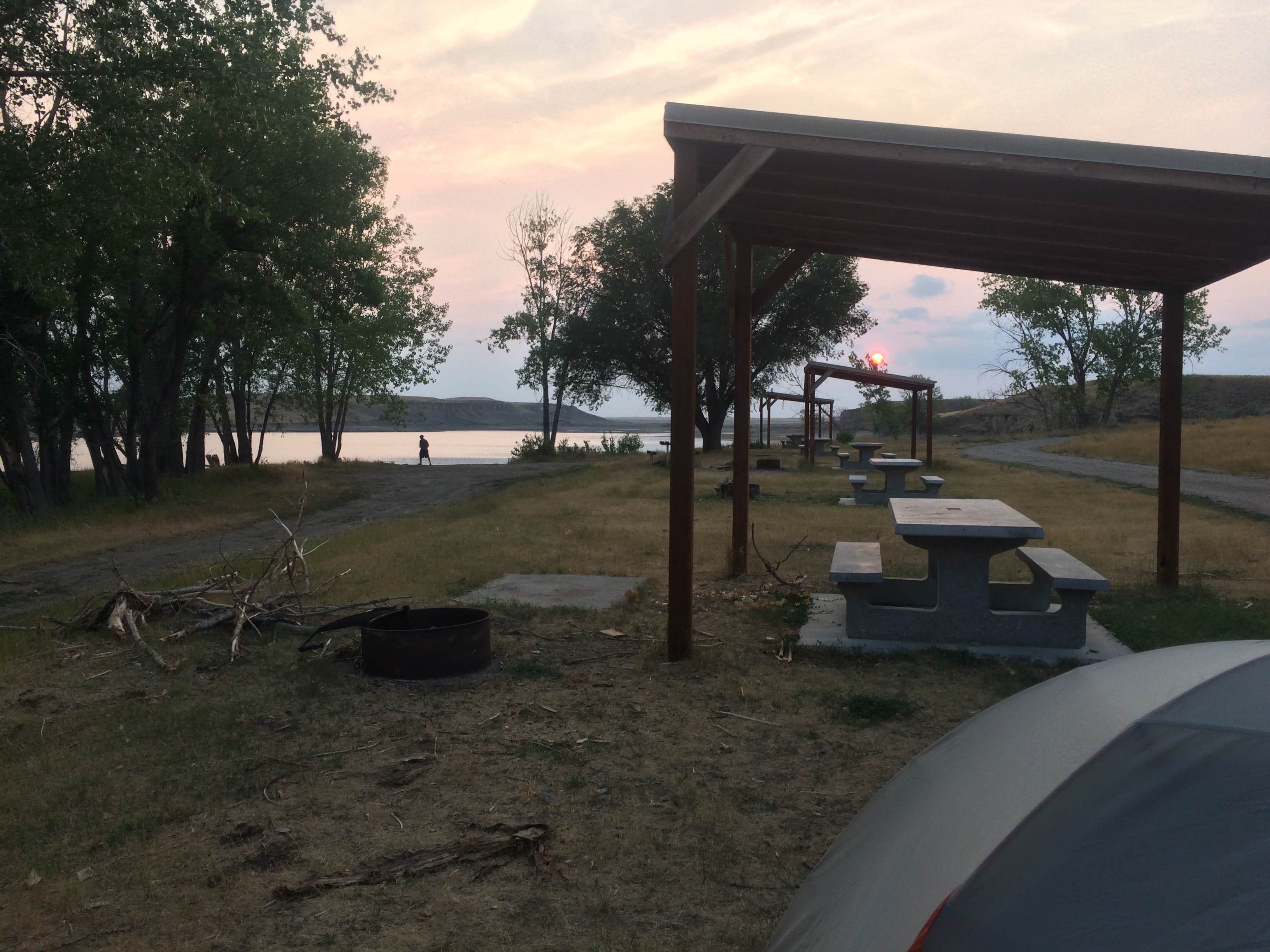 Petrolia Lake The Dyrt