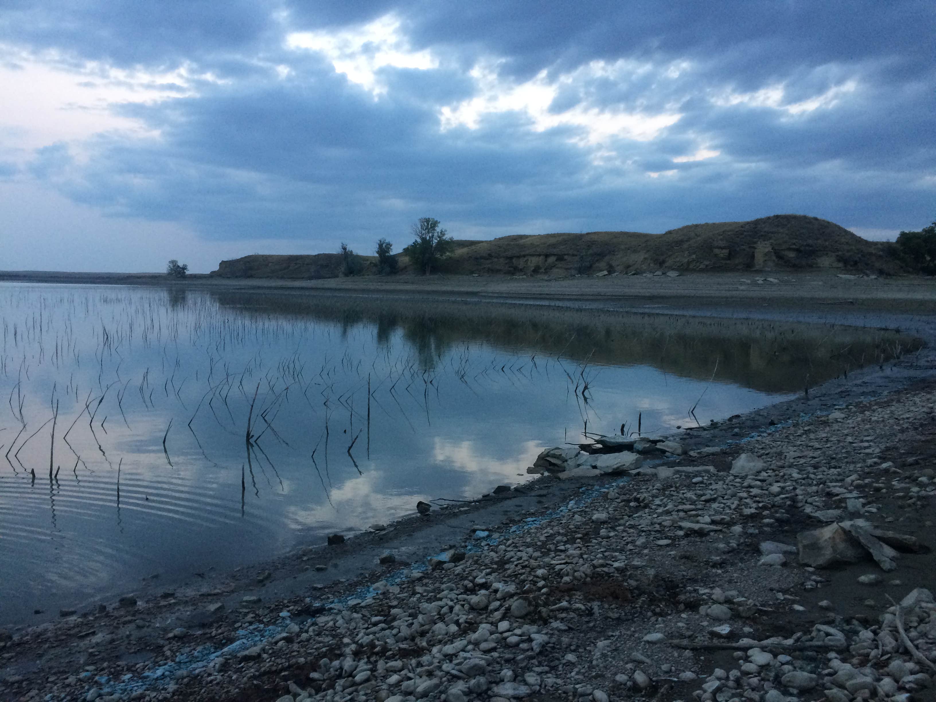 Petrolia Lake The Dyrt