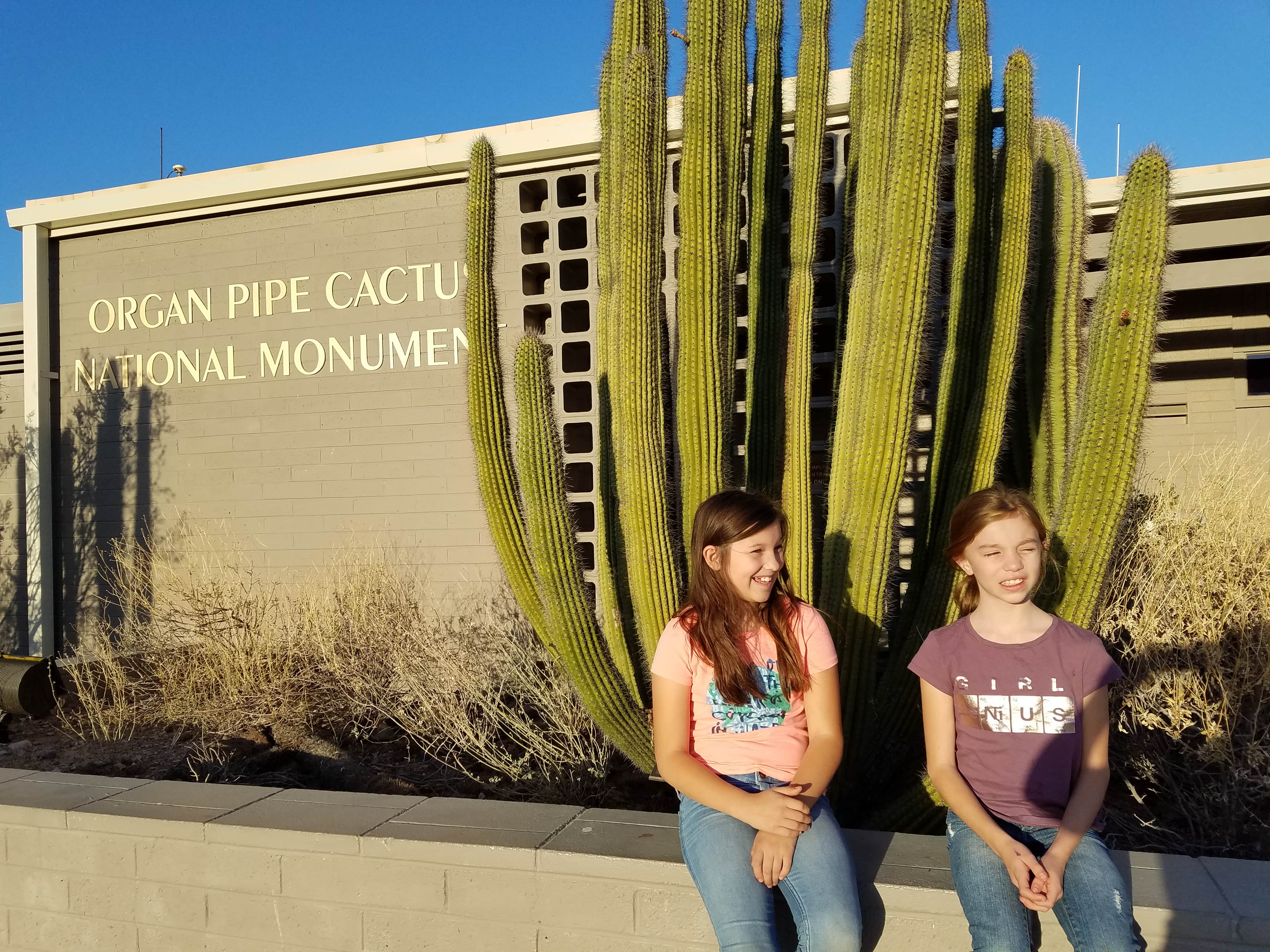 Camper submitted image from Twin Peaks Campground — Organ Pipe Cactus National Monument - 5