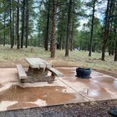 Review photo of Kaibab Lake Sites And Group Areas by Jody R., August 1, 2020