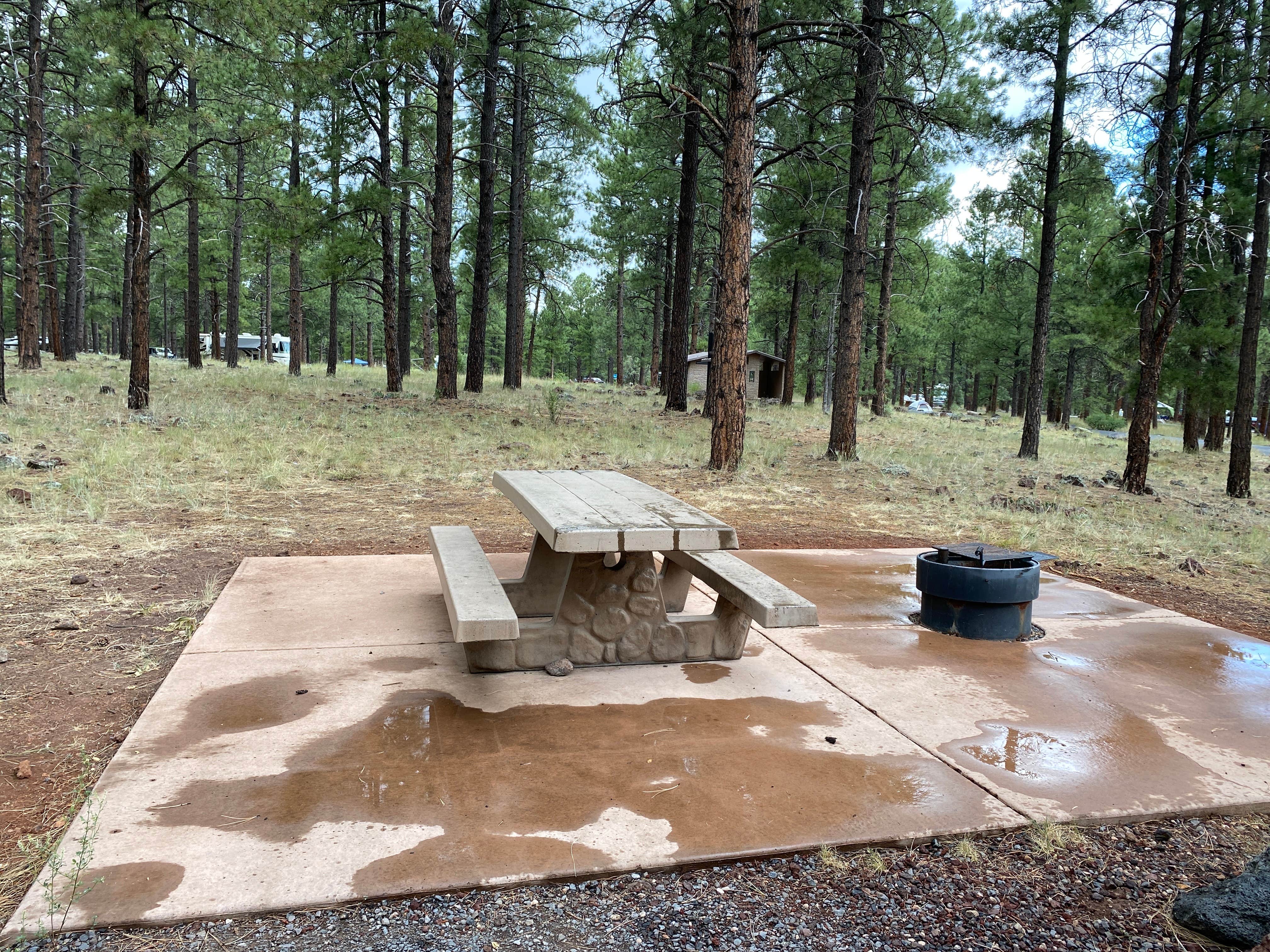 Camper submitted image from Kaibab Lake Sites And Group Areas - 5
