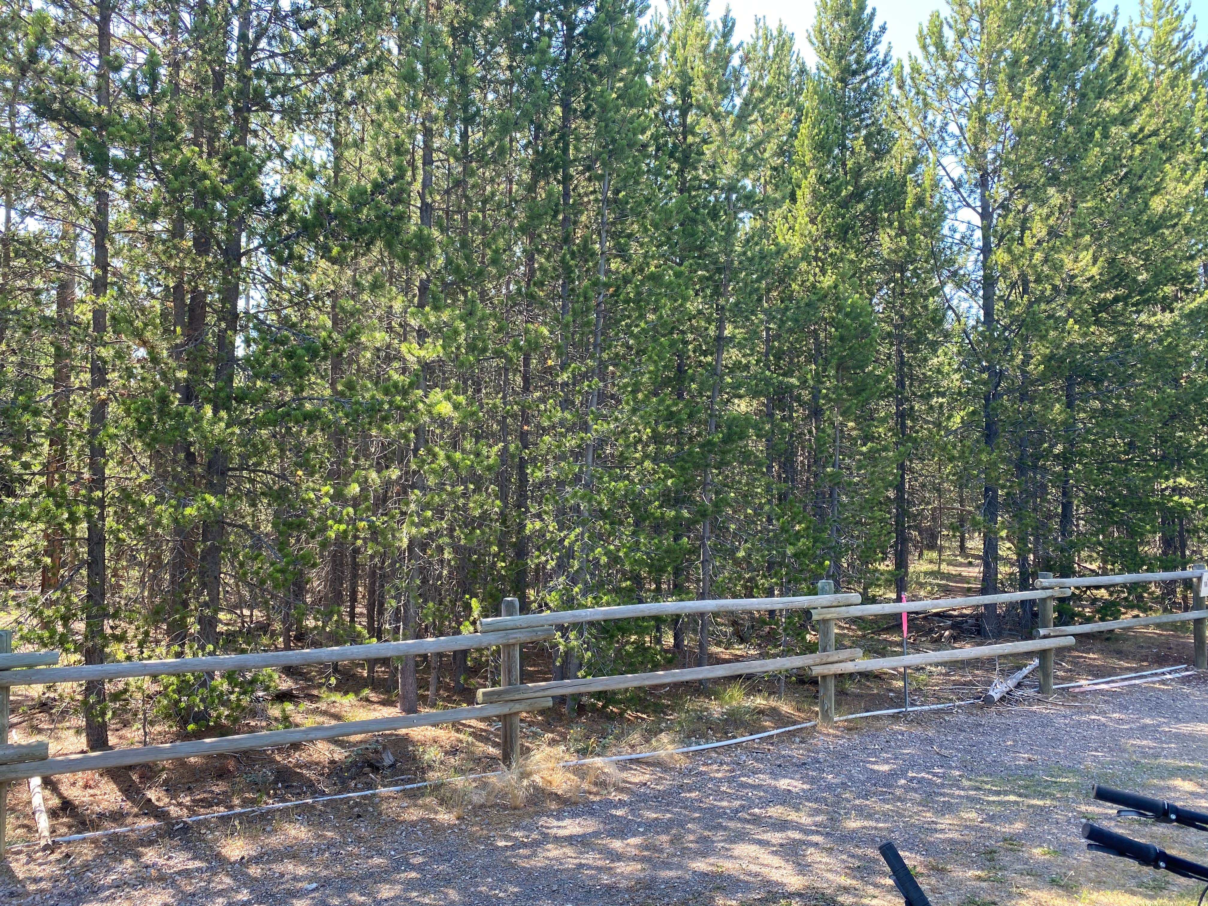 Camper submitted image from Yellowstone Grizzly RV Park and Resort - 5
