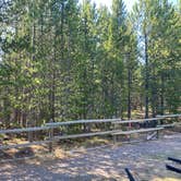 Review photo of Yellowstone Grizzly RV Park and Resort by Kristine B., August 1, 2020