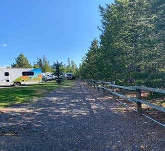 Camper-submitted photo from Yellowstone Grizzly RV Park and Resort