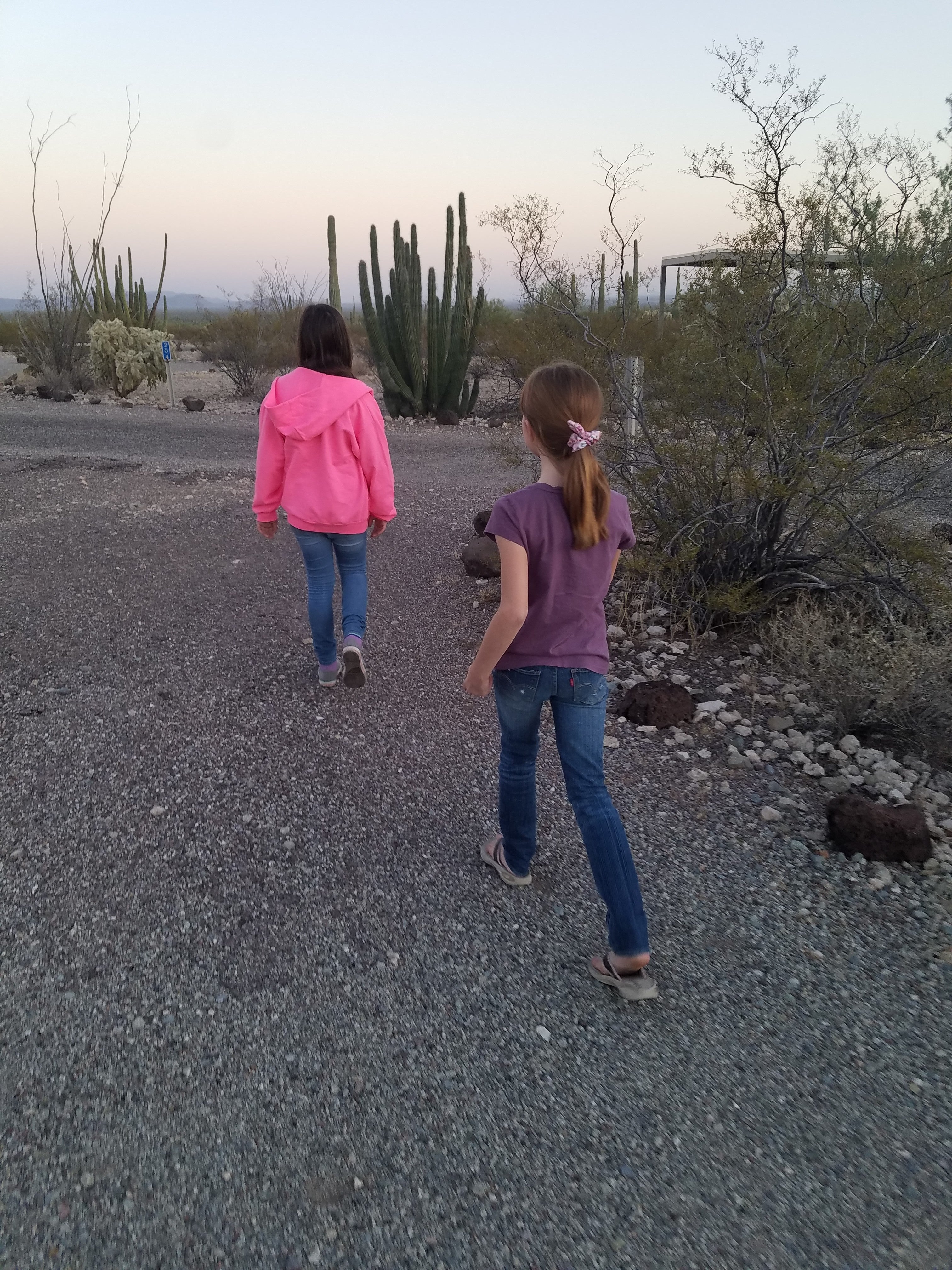 Camper submitted image from Twin Peaks Campground — Organ Pipe Cactus National Monument - 3