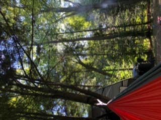 Camper-submitted photo at Red Rock Mountain Campground near Eagles Mere, PA