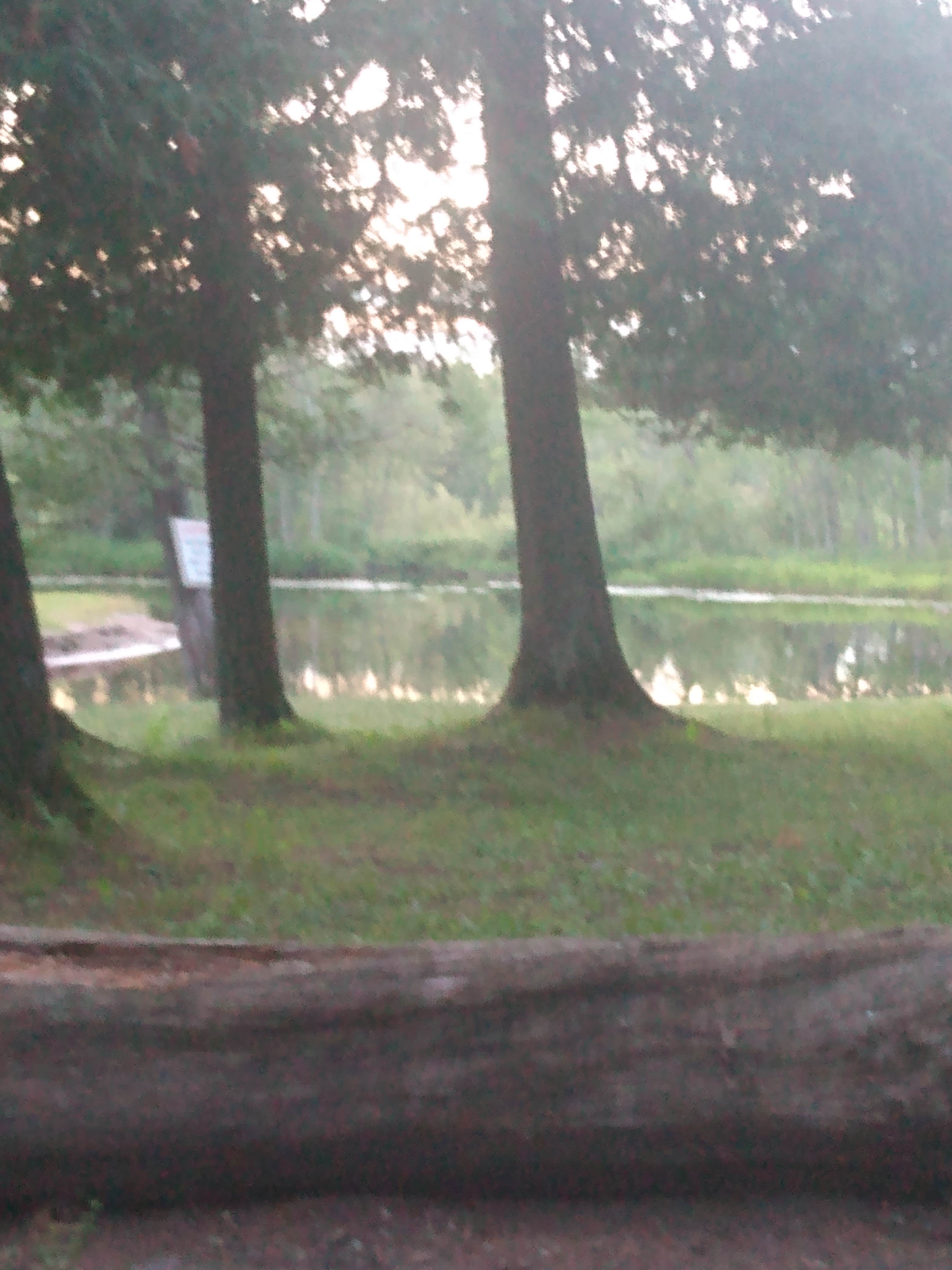 Camper submitted image from Veterans Memorial Park Campground - 2