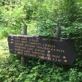 Review photo of DeSoto Lake Backpacking Sites — Itasca State Park by Janet R., August 2, 2020