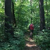 Review photo of DeSoto Lake Backpacking Sites — Itasca State Park by Janet R., August 2, 2020