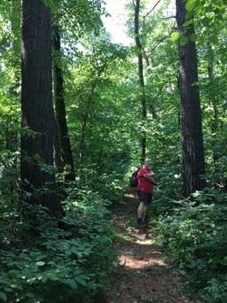Camper submitted image from DeSoto Lake Backpacking Sites — Itasca State Park - 3