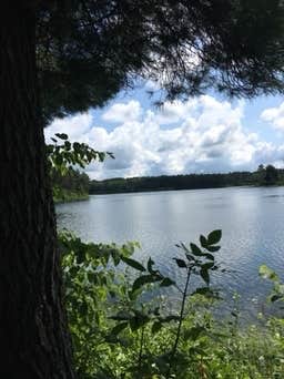 Camper submitted image from DeSoto Lake Backpacking Sites — Itasca State Park - 4