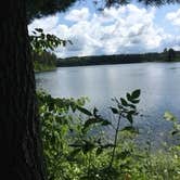 Review photo of DeSoto Lake Backpacking Sites — Itasca State Park by Janet R., August 2, 2020