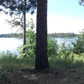 Review photo of DeSoto Lake Backpacking Sites — Itasca State Park by Janet R., August 2, 2020