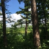Review photo of DeSoto Lake Backpacking Sites — Itasca State Park by Janet R., August 2, 2020