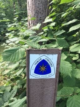 Camper-submitted photo at DeSoto Lake Backpacking Sites — Itasca State Park near Midway, MN