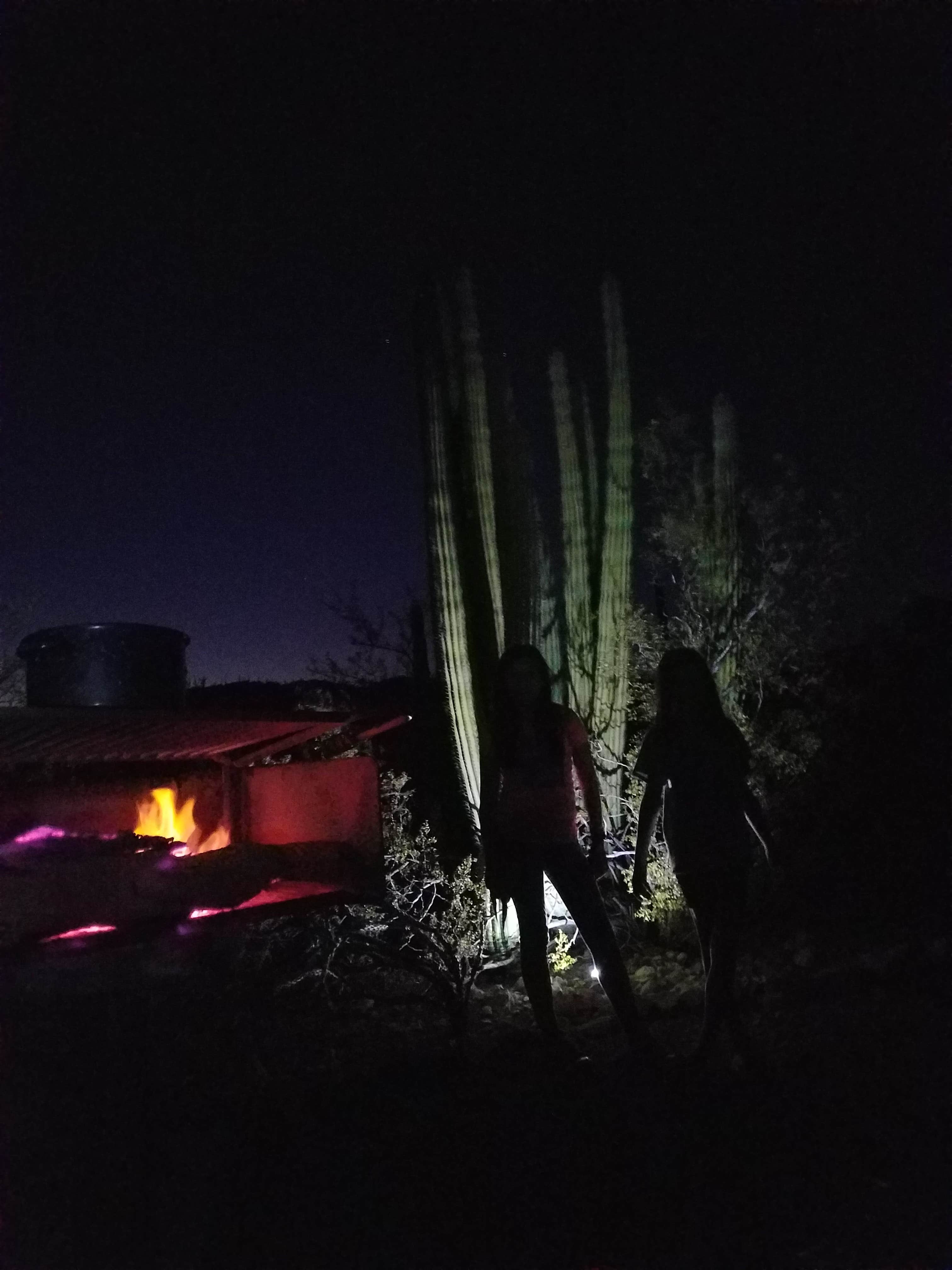 Emma K.'s photo at Twin Peaks Campground — Organ Pipe Cactus National Monument near Organ Pipe Cactus National Monument